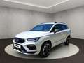CUPRA Ateca 1.5 TSI 110 kW (150 PS) 7-Gang DSG Bianco - thumbnail 1