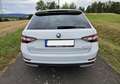 Skoda Superb Superb Combi 2.0 TDI 4x4 DSG Sportline Weiß - thumbnail 6