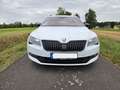 Skoda Superb Superb Combi 2.0 TDI 4x4 DSG Sportline Weiß - thumbnail 2