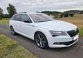 Skoda Superb Superb Combi 2.0 TDI 4x4 DSG Sportline Weiß - thumbnail 3