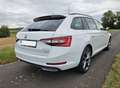 Skoda Superb Superb Combi 2.0 TDI 4x4 DSG Sportline Weiß - thumbnail 5