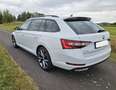 Skoda Superb Superb Combi 2.0 TDI 4x4 DSG Sportline Weiß - thumbnail 7