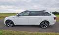 Skoda Superb Superb Combi 2.0 TDI 4x4 DSG Sportline Weiß - thumbnail 8