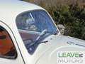Volkswagen Maggiolino VETRO PIATTO (M1260) Beige - thumbnail 19