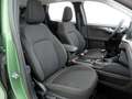Ford Kuga 1.5 EcoB Titanium LED+iACC+SHZ+360°Kamera Grün - thumbnail 12