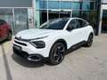 Citroen C4 1.5 BlueHDI 130 FAP Max (EURO 6d) Shz CarPlay Weiß - thumbnail 2