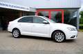 SEAT Toledo 1.2 TSI Businessline High Navi|1e Eig|Clima|LMV|DA Weiß - thumbnail 4