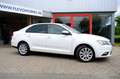 SEAT Toledo 1.2 TSI Businessline High Navi|1e Eig|Clima|LMV|DA Weiß - thumbnail 5