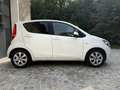 Opel Agila 1,3 CDTI *Klima*Alu*Öamtc Pickerl 05/27+4 M... Weiß - thumbnail 4
