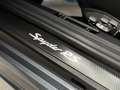 Porsche 718 Spyder Spyder 718 RS 4.0 Weissach*PDLS*PCCB*LIFT*Chrono Gris - thumbnail 22