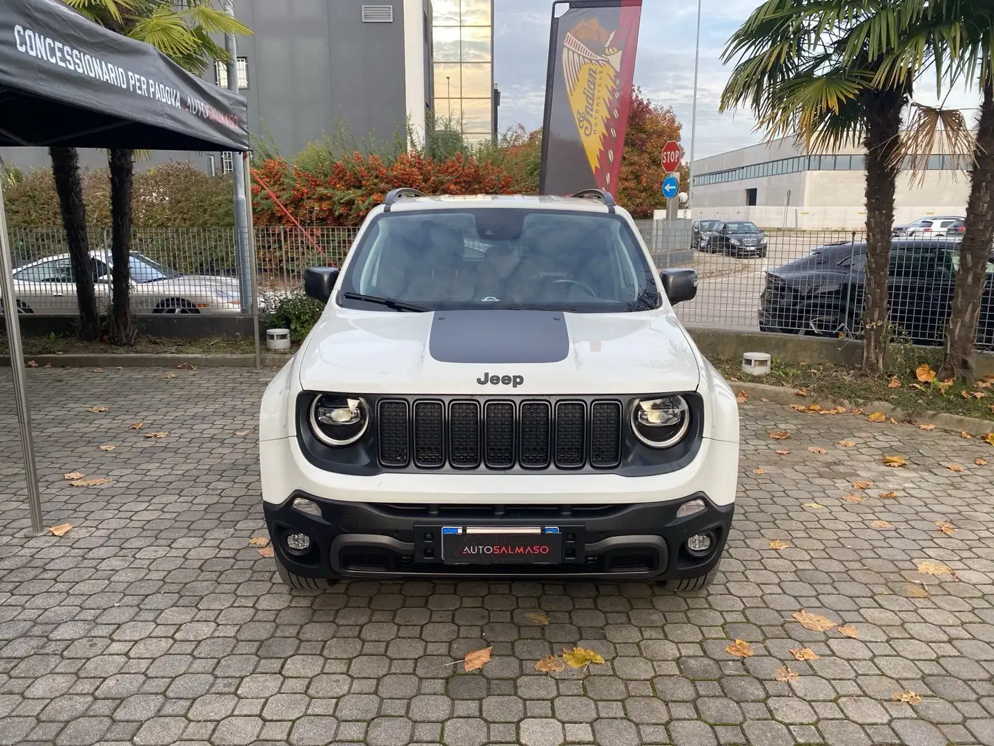 Jeep Renegade Renegade 2.0 Mjt 4WD Active Drive Low Trailhawk Wit - 2