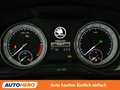 Skoda Superb 2.0 TDI SportLine 4x4 Grau - thumbnail 20