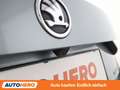 Skoda Superb 2.0 TDI SportLine 4x4 Grau - thumbnail 34