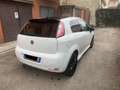 Fiat Punto Evo 3p 1.3 mjt Sport s&s 95cv Bianco - thumbnail 3