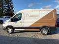 Ford Transit FT 350  DPF L2 / H2 nur Gewerbe/Exp. Weiß - thumbnail 4
