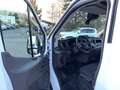 Ford Transit FT 350  DPF L2 / H2 nur Gewerbe/Exp. Blanc - thumbnail 13