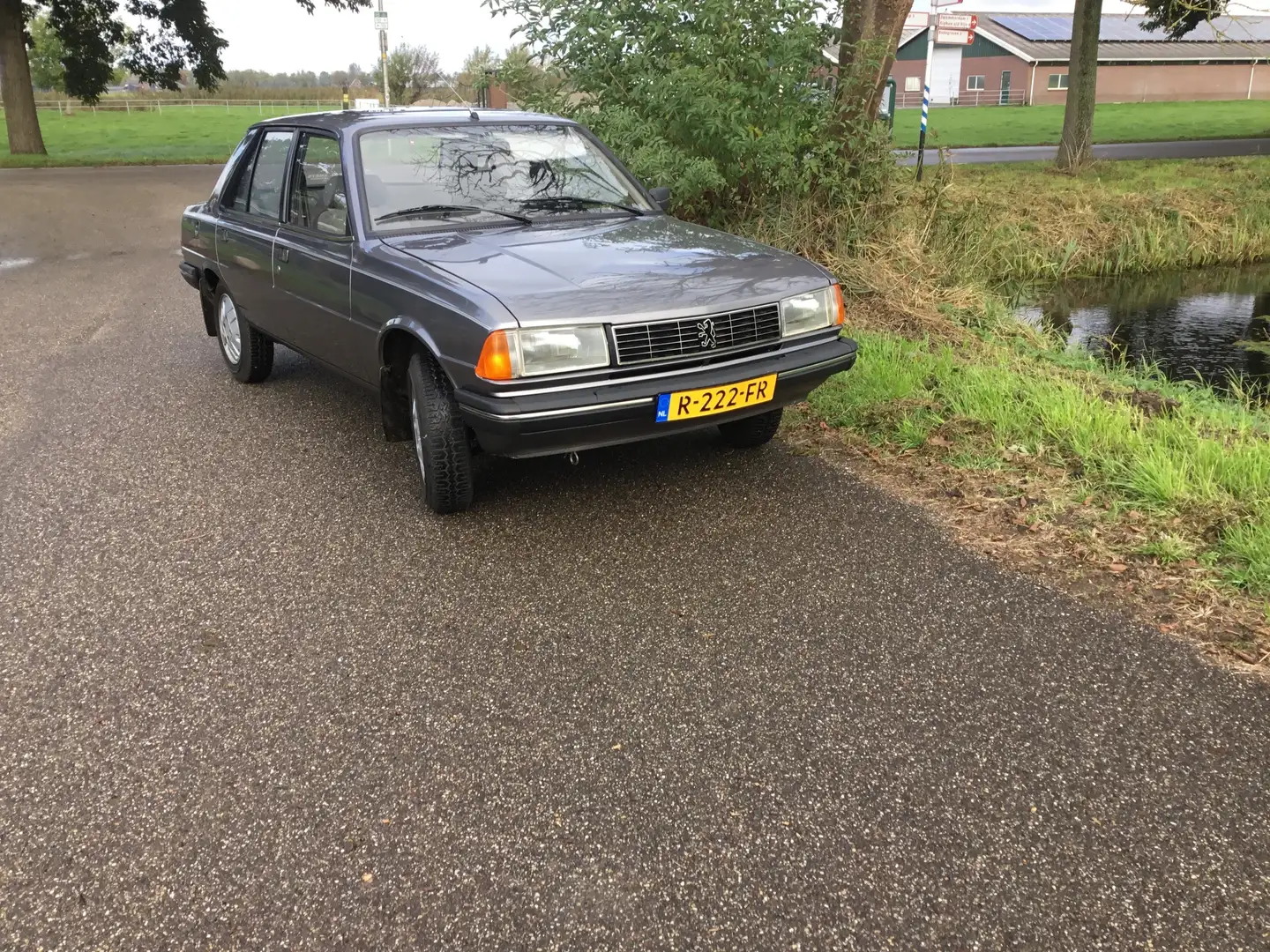 Peugeot 305 305 undefined Grey - 2
