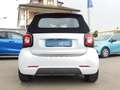 smart forTwo 70 1.0 twinamic Passion Cabrio Automatica Bianco - thumbnail 6