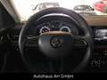 Skoda Kamiq Ambition*WS Schwarz - thumbnail 12