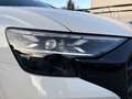Audi Q8 TFSI e quattro 290 kW Weiß - thumbnail 27