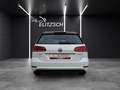 Volkswagen Golf VII Variant TSI Comfortline Navi ACC RFK SH LM Weiß - thumbnail 6