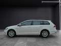 Volkswagen Golf VII Variant TSI Comfortline Navi ACC RFK SH LM Weiß - thumbnail 4