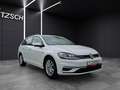 Volkswagen Golf VII Variant TSI Comfortline Navi ACC RFK SH LM Weiß - thumbnail 9