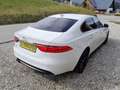 Jaguar XF Prestige    Finanzierung ohne Anzahlung möglich Weiß - thumbnail 4