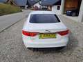 Jaguar XF Prestige    Finanzierung ohne Anzahlung möglich Weiß - thumbnail 5