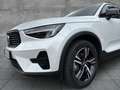 Volvo XC40 B3 2WD Plus Dark (EURO 6d) Klima Rückfahrkamera Weiß - thumbnail 6