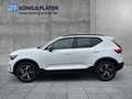 Volvo XC40 B3 2WD Plus Dark (EURO 6d) Klima Rückfahrkamera Weiß - thumbnail 3