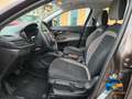 Fiat Tipo Braun - thumbnail 19