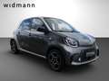 smart forFour EQ *22 kW-Bordlader*JBL Soundsystem*SHZ* Gris - thumbnail 5