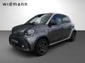 smart forFour EQ *22 kW-Bordlader*JBL Soundsystem*SHZ* Grau - thumbnail 2