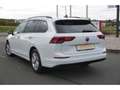 Volkswagen Golf VIII Var.1.5TSI-LED-Navi-Sitzhz-AbstTempo-Klimaaut Weiß - thumbnail 16