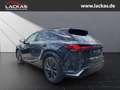 Lexus RX 450h h+ F Sport Design Panoramadach Blau - thumbnail 2