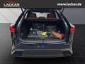 Lexus RX 450h h+ F Sport Design Panoramadach Blau - thumbnail 16