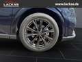 Lexus RX 450h h+ F Sport Design Panoramadach Blau - thumbnail 18