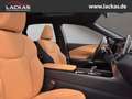 Lexus RX 450h h+ F Sport Design Panoramadach Blau - thumbnail 19