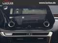 Lexus RX 450h h+ F Sport Design Panoramadach Blau - thumbnail 17