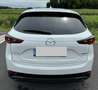 Mazda CX-5 G165 e-Skyactiv MHEV Homura Aut. Weiß - thumbnail 7