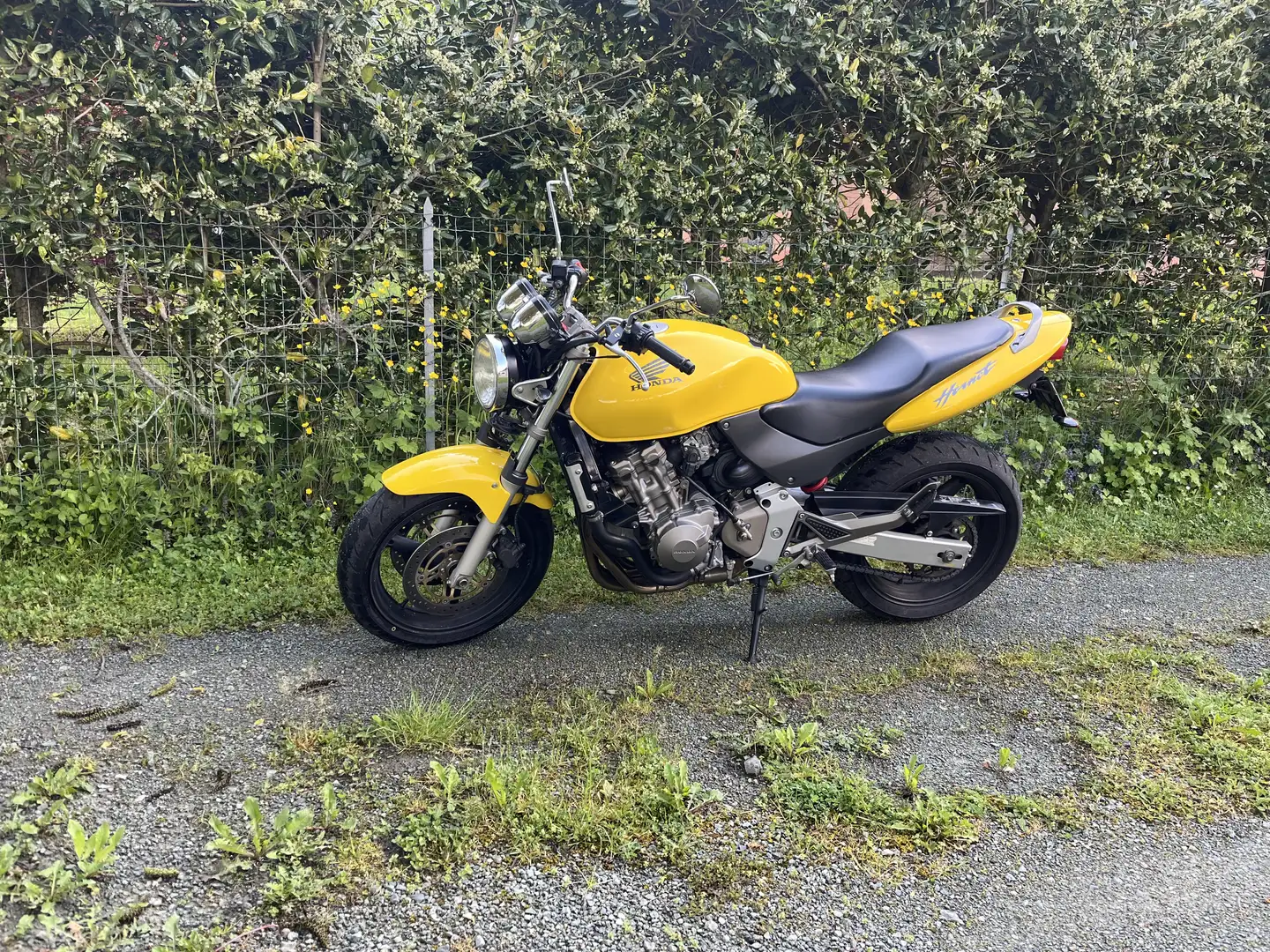 Honda Hornet - 1