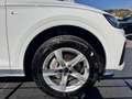 Audi Q5 Sportback 40 2.0 tdi mhev 12V S line quattro s-tro Bianco - thumbnail 13