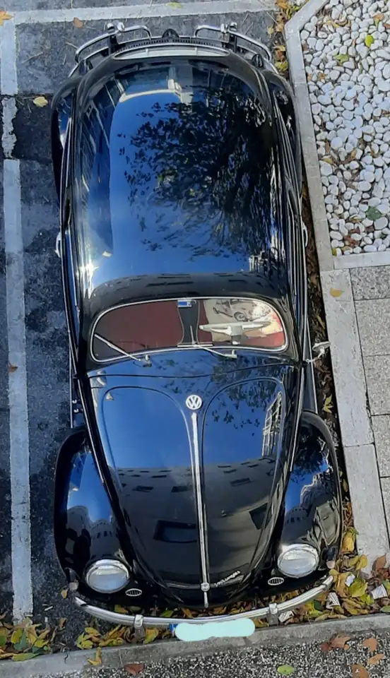 Volkswagen Maggiolino Ovalino 1.2, foto 9
