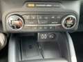 Ford Kuga 2.5 PHEV Vignale elektr.AHK*ACC*Navi*HUD Grau - thumbnail 20