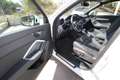 Audi Q3 35 tdi 150CV Business Advanced s-tronic | 2021 Blanc - thumbnail 14