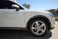 Audi Q3 35 tdi 150CV Business Advanced s-tronic | 2021 Blanc - thumbnail 28