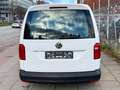 Volkswagen Caddy Nfz Maxi Kasten BMT / TÜV NEU Weiß - thumbnail 16