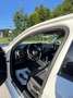 Audi A3 Audi a3 Sportback Weiß - thumbnail 14