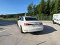 Audi A3 Audi a3 Sportback Weiß - thumbnail 23